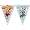 Paw Patrol driehoek vlag roze